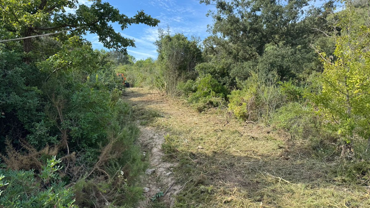 ADF Rossend Montané tweet media