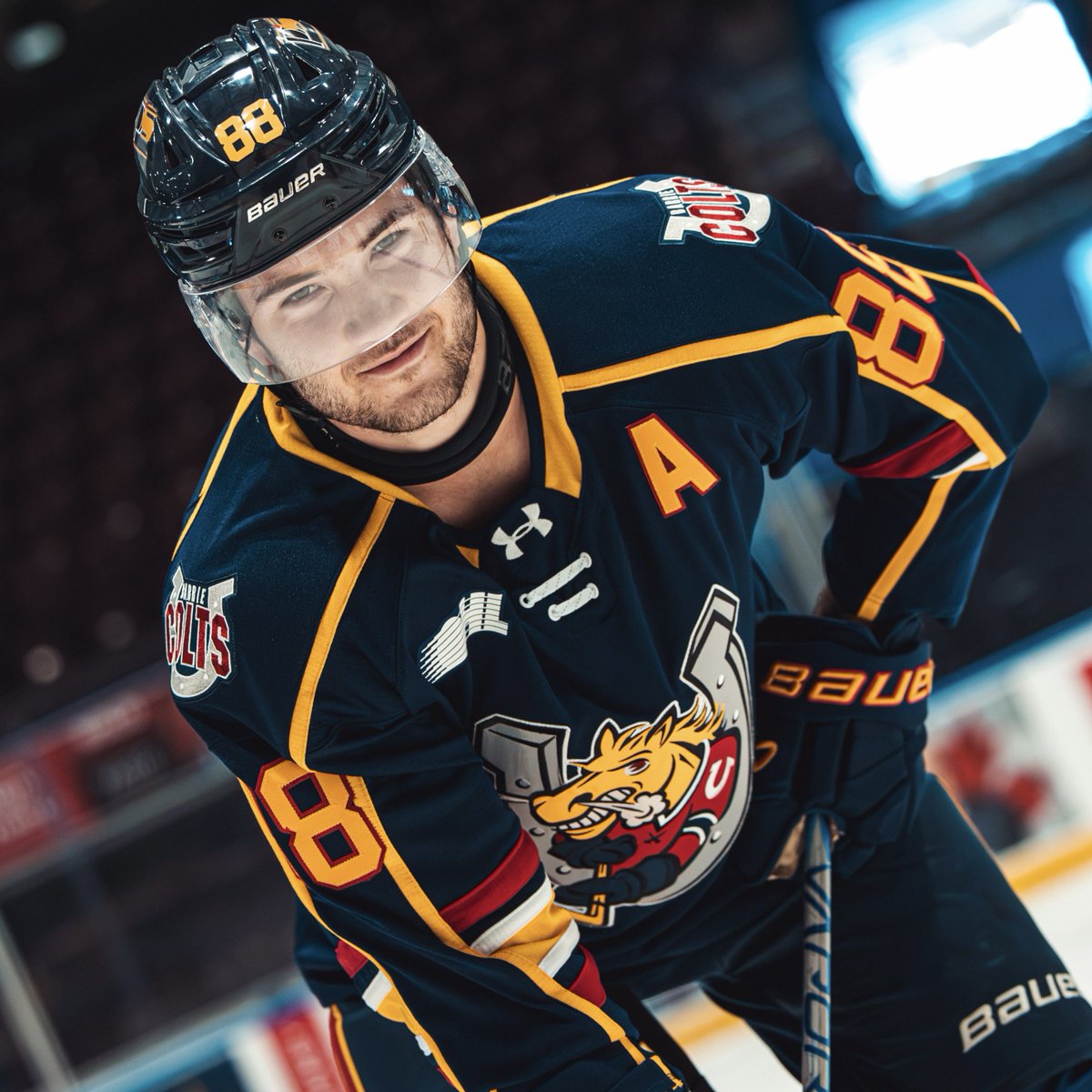 Barrie Colts tweet media