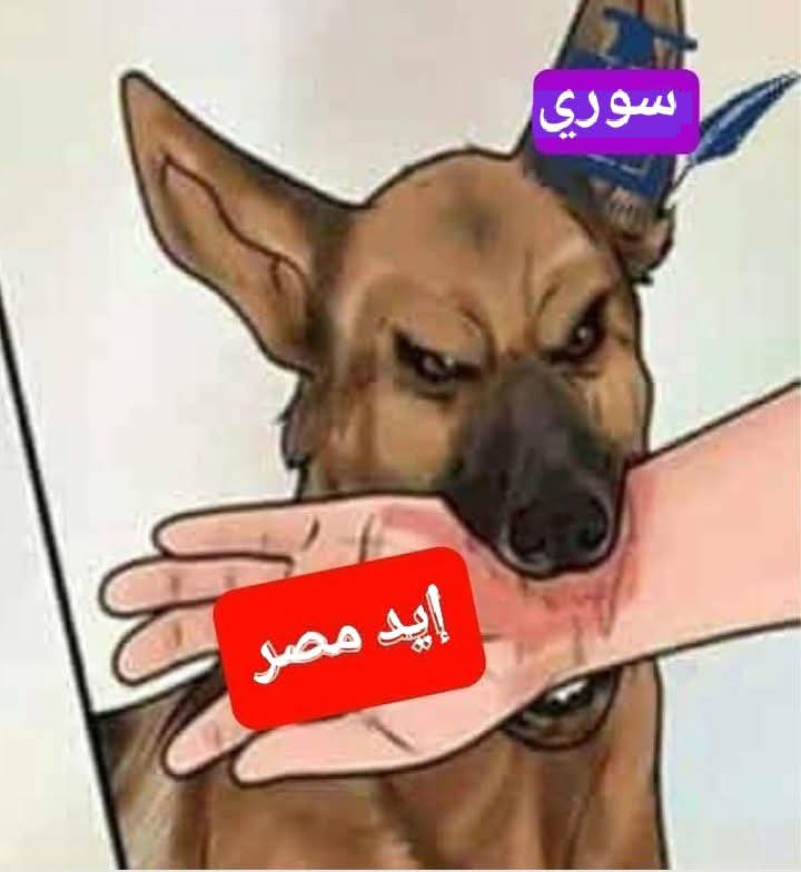 abdelwahab_mona's tweet photo. احفاد الهكسوس 
#ترحيل_جميع_اللاجئين_مطلب_شعبي 
#ترحيل_جميع_السوريين_مطلب_شعبي 
#مصر_للمصريين_مش_تكية https://t.co/MAtmAIh8xz