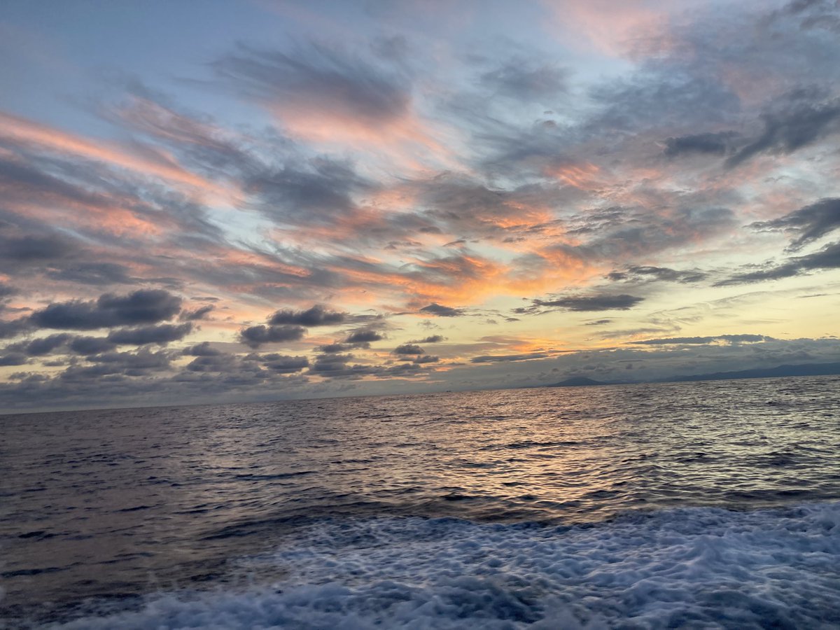 朝日が綺麗〜(*^o^*)
今日は、ベタ凪楽しみだぁ(*˘︶˘*)✨✨✨