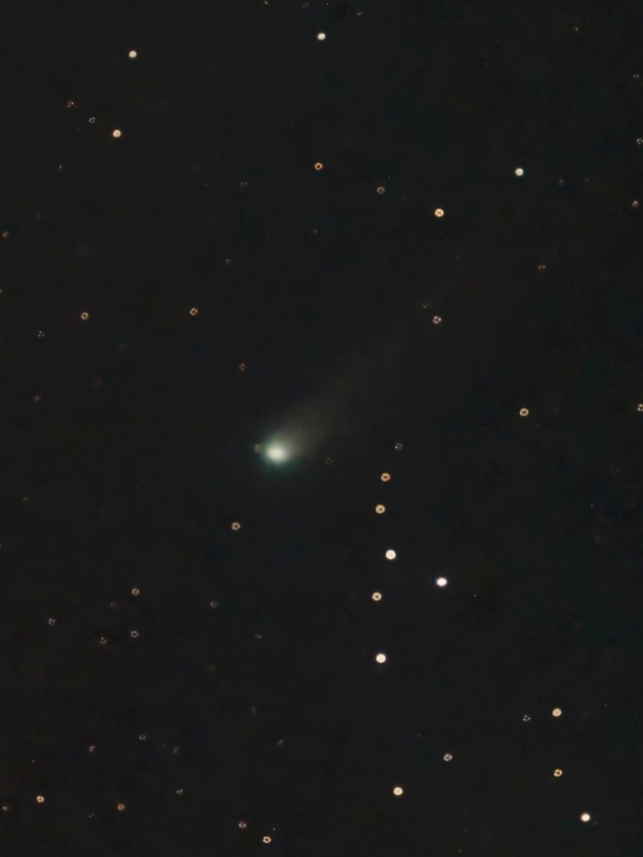 martian989's tweet image. 今日はレモンの日らしい。
早朝のレモン彗星を。
#C2025A6Lemmon