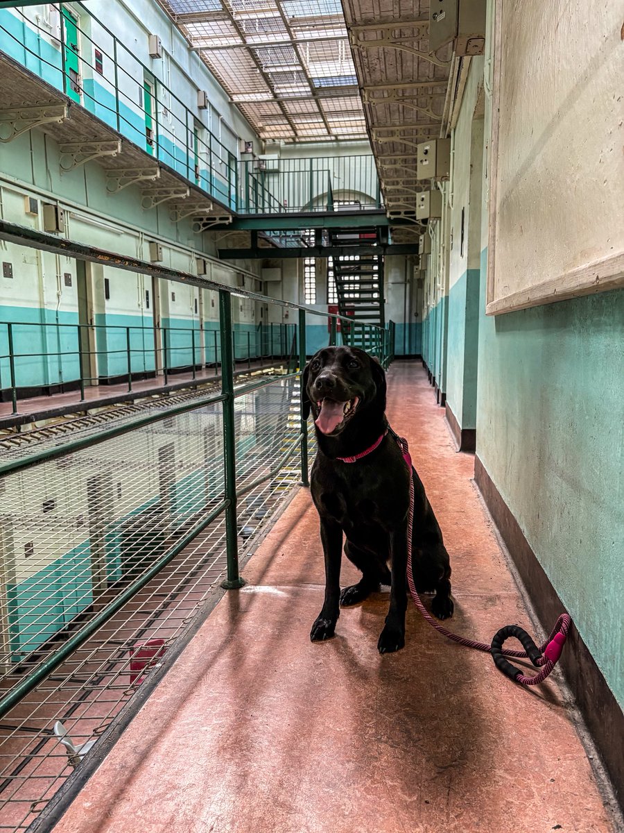 Truck Life GB tweet media