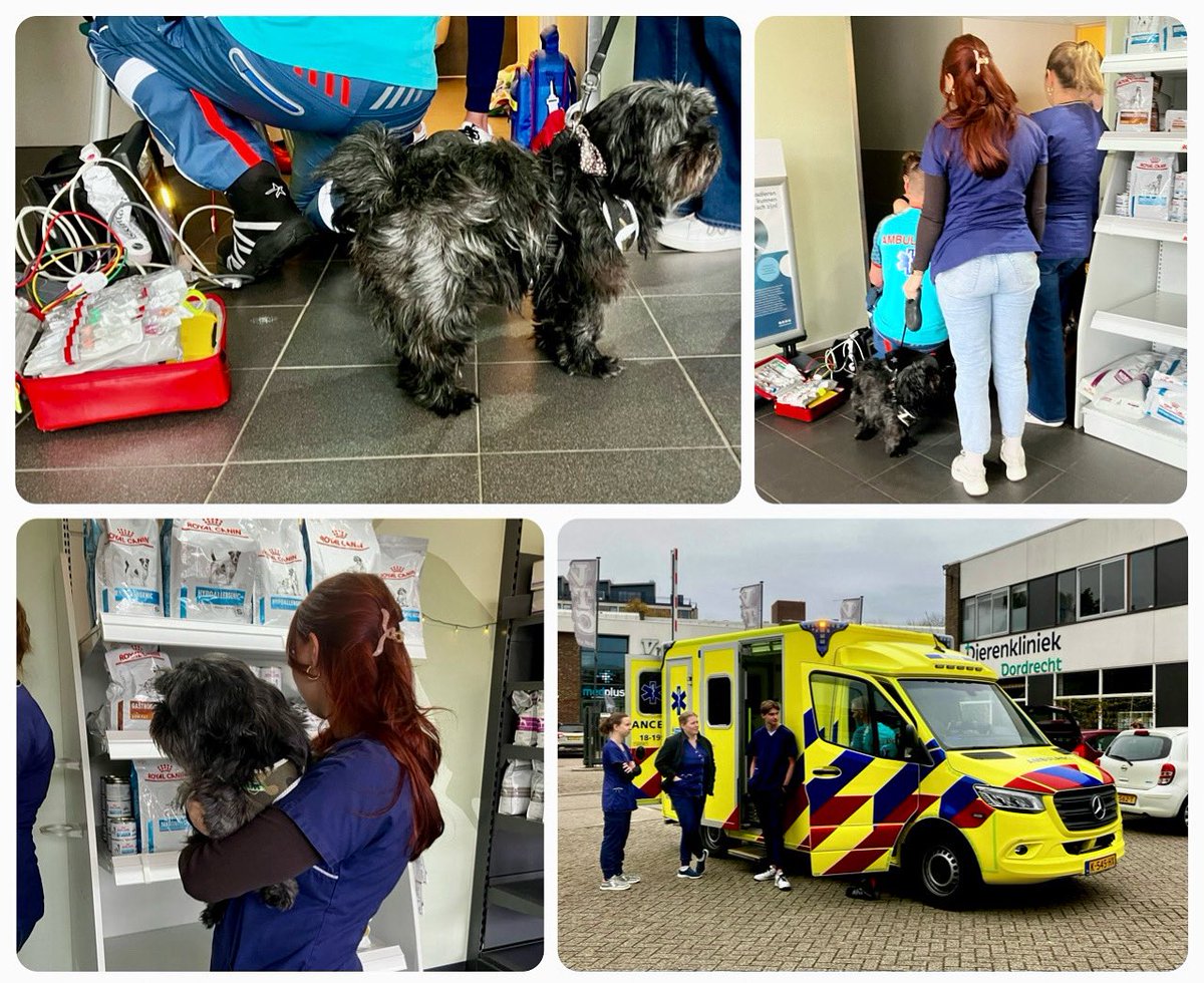 🐶 Je wordt in ons vak naar verrassende plekken geroepen, zoals: de dierenkliniek. En dan niet voor de pluizige patiënt op vier voeten, maar voor de onwel geworden baas. Het hondje wachtte geduldig en uiteindelijk kwam met mens en dier alles goed 👌🏽