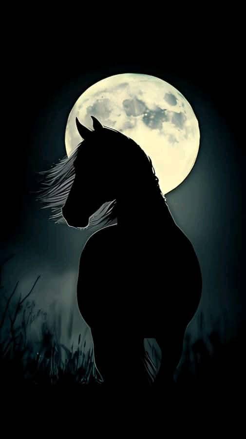 #مهاجر mohageer tweet media