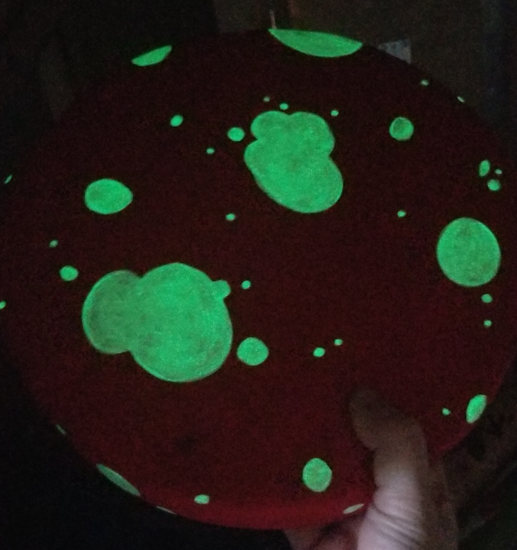 OrneryJackal's tweet photo. It's my godson's first birthday soon, and I am very tight on funds rn... so I'm carving him a glow-in-the-dark toadstool stool, lol.  Still not done shaping the base yet, but I like the progress so far 🙂 https://t.co/LYInSN1Z5K