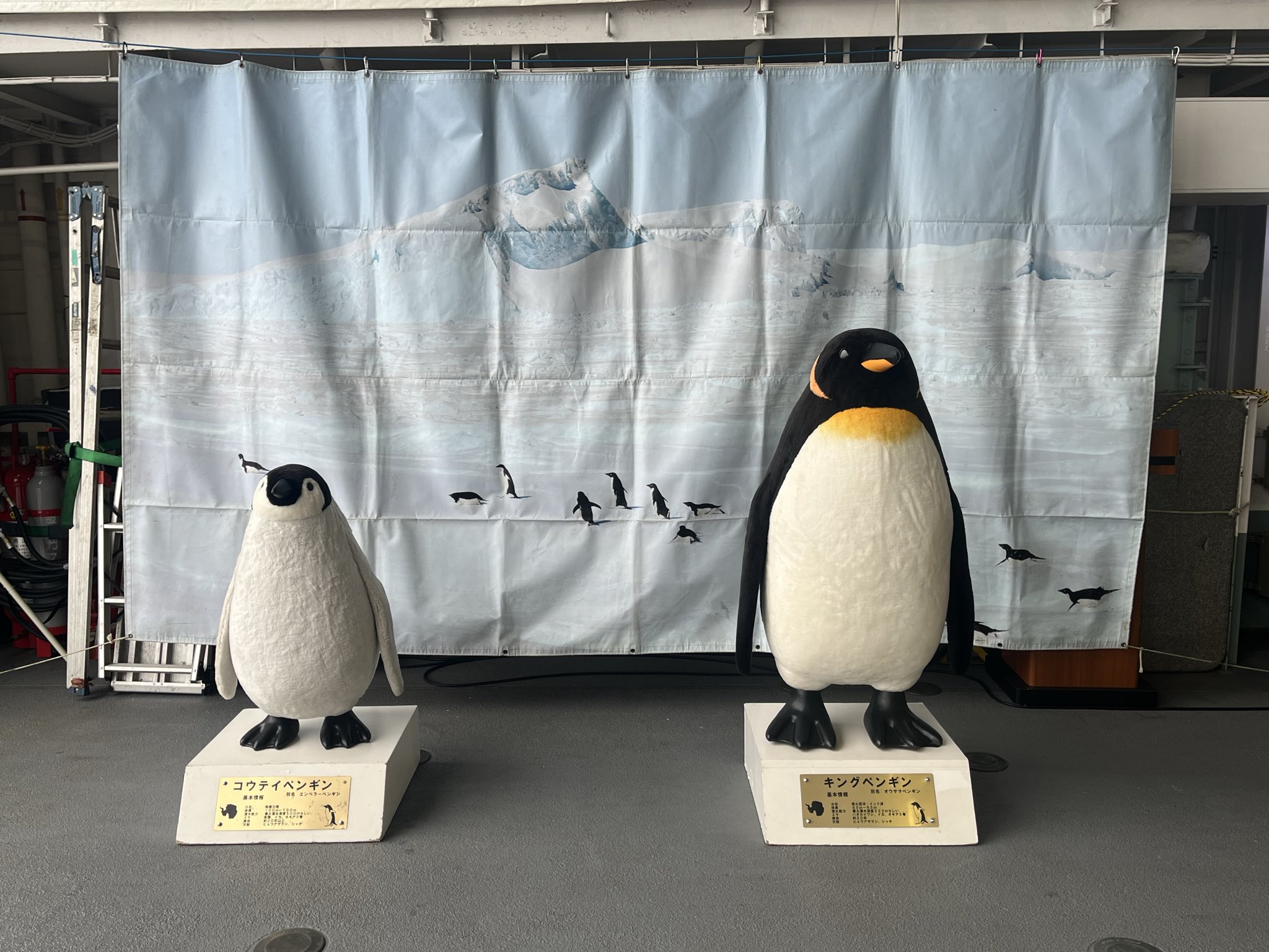 こにやん IP Mk.IV on X: 