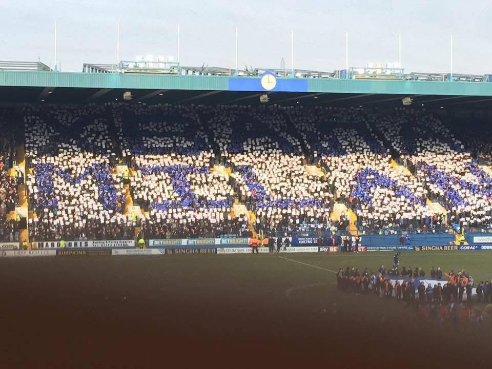 RIP Milan. Thank you 💙