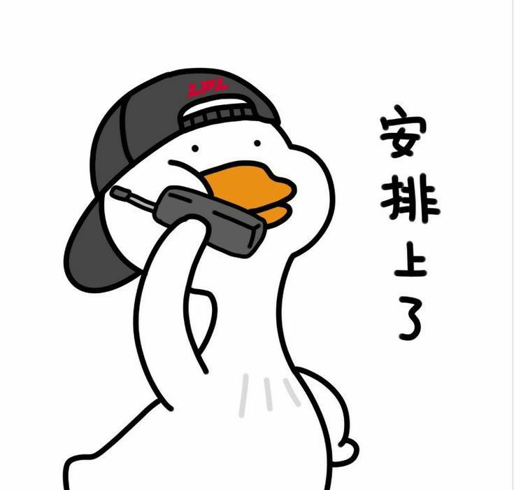 duck不必 tweet media