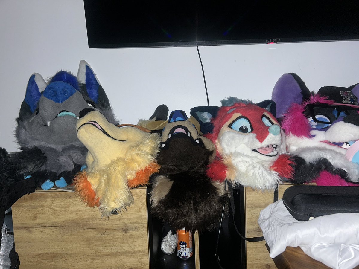 These things stared at me all night long while I slept
