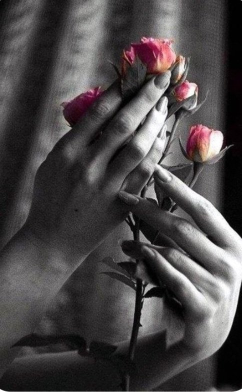 ...güzel, çirkin 
iyi, kötü,
doğru, yanlış
siyah, beyaz
ayırmadan
hissettiklerin le  kendince bütünleşerek
olmaktı belki de hayat...

Sevgiyle geceye❤️