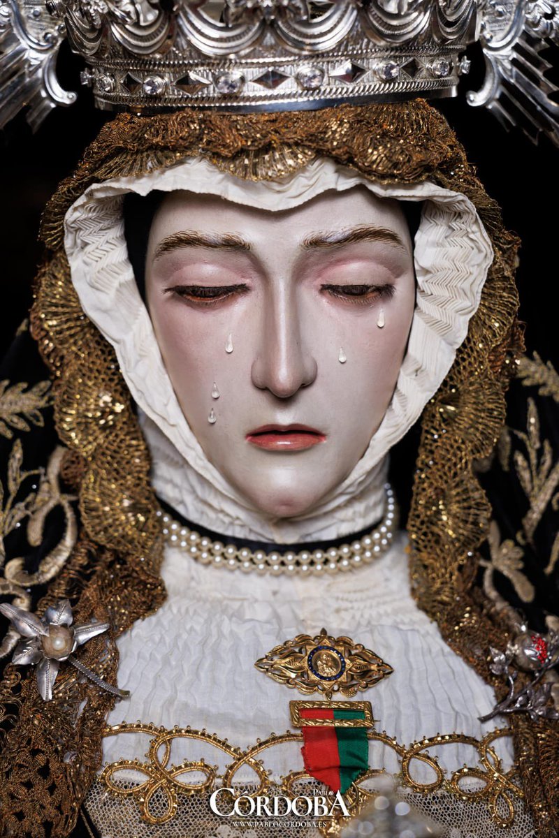 FonsiAtq's tweet photo. Ella es una rosa blanca de eterno otoño en el jardín que es #Granada. Ella es nácar tallado con las gubias del arte y el señorío. https://t.co/zTpnFvR93w