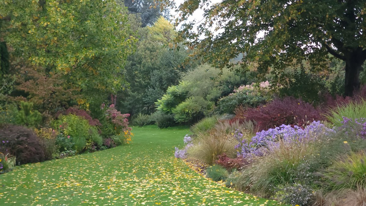 A few photographs from the past few very blustery days in John's Garden at Ashwood. Pic three is gardens manager Maggie.