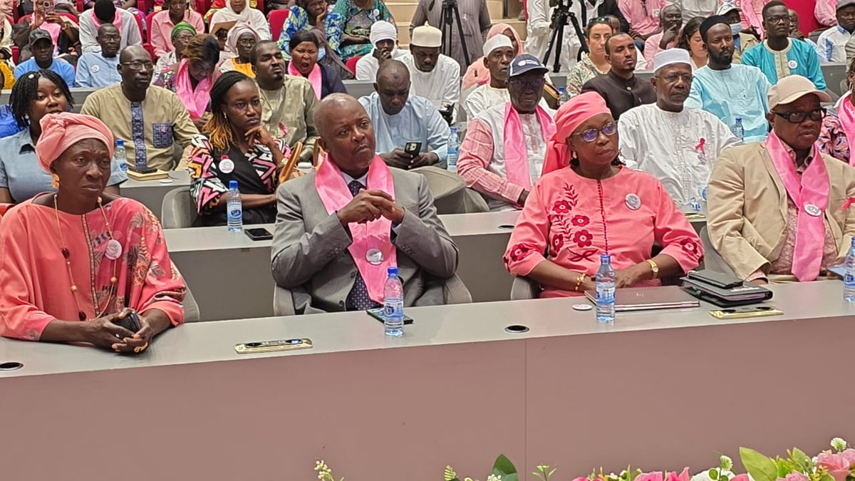 Tonyakumu's tweet photo. Launch of the Breast Cancer awareness month in  Ndjamena with WHO and GoChad. Early testing will save ones life and Breast Cancer is not a death sentence. To early Testing..to early treatment..to eradication of Breast Cancer and Cancer of the Uterus, and Saving our Women! https://t.co/TDomjZ9bO5