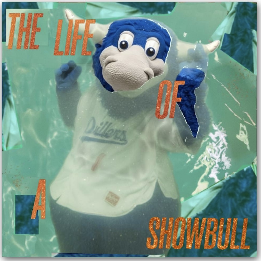 Tulsa Drillers tweet media