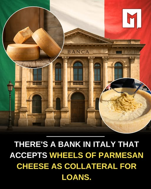 James Tate tweet media