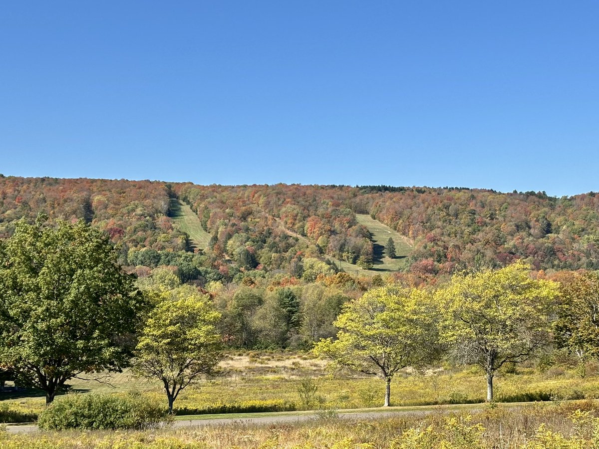 HabudaJL's tweet photo. Fall colors on the slopes at Kissing Bridge. (As seen from Sprague Brook Park, across the 240.) We look forward to this time of year, then it flies by in the blink of an eye.🥰 https://t.co/ctAcxqaHmB