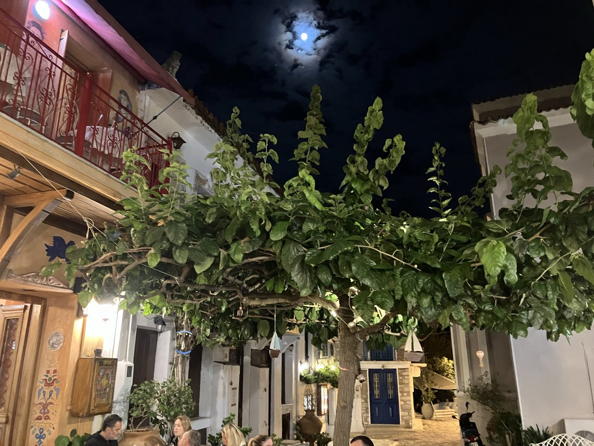 Friends of Tilling tweet media