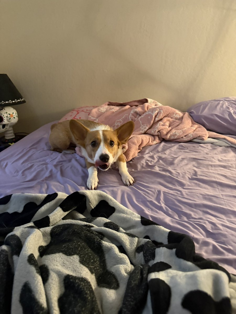 b ryce (@fouxmax) on Twitter photo 