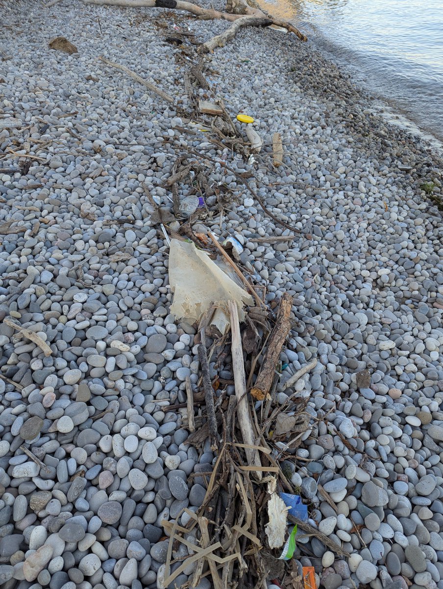 4CleanTO's tweet photo. @311Toronto Humber Bay Shores Park beach.  Very dirty.Simply unbelievable. Signs needs to be installed. People also make fires here at night. https://t.co/ViPO4t98R1