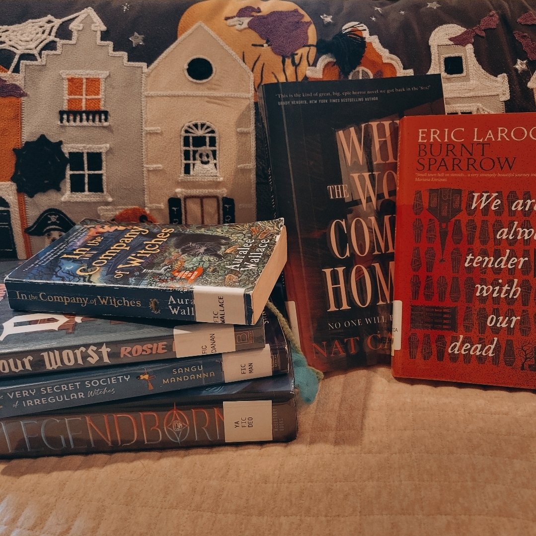 honeyedhellion's tweet photo. Current library lineup https://t.co/AWrID8oKId