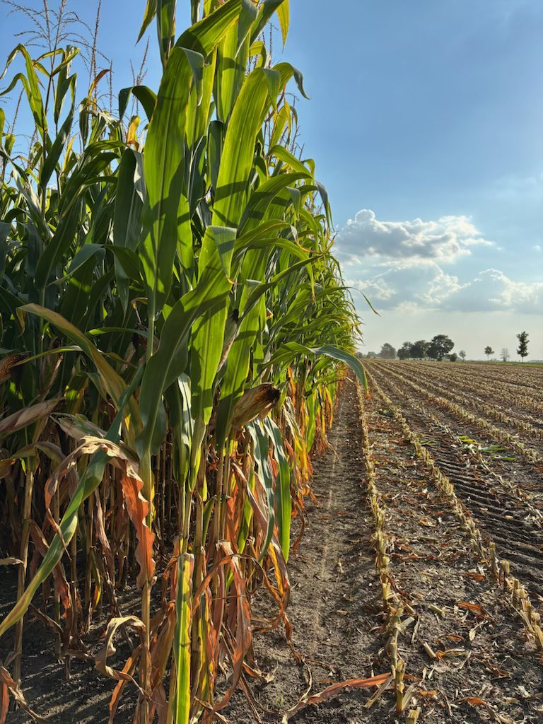 Hoegy's Farm Supply tweet media