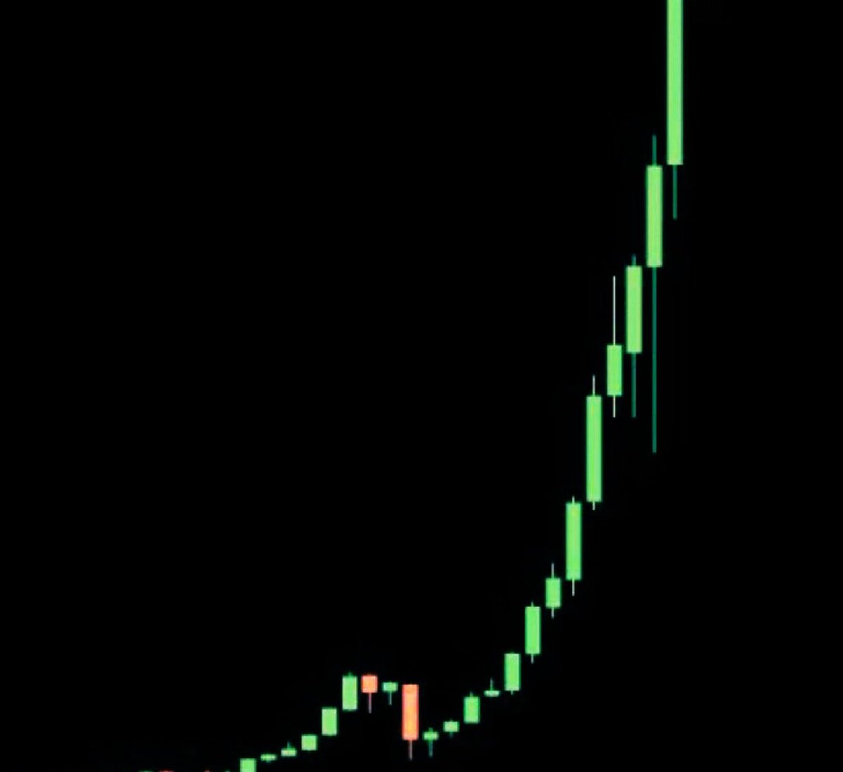 WHALE 🐳 EVERYTHING tweet media