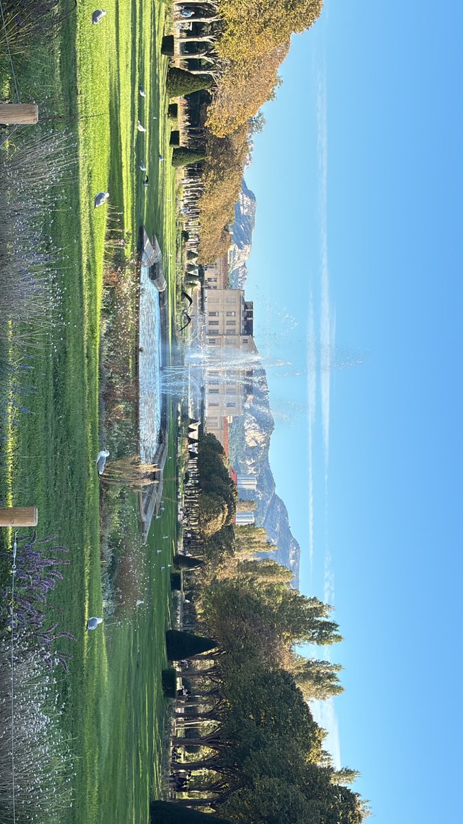 수토귤 tweet media