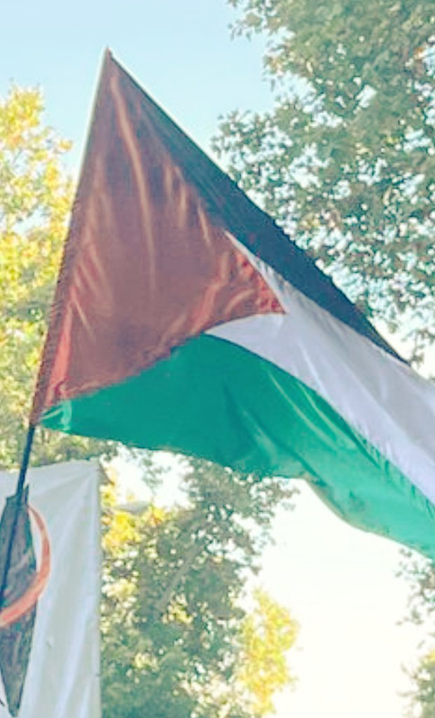 ...Y Madrid a reventar de solidaridad con el pueblo palestino,contra el #genocidioengaza y por la liberación de las secuestradas de #laflotilla 💜🇵🇸