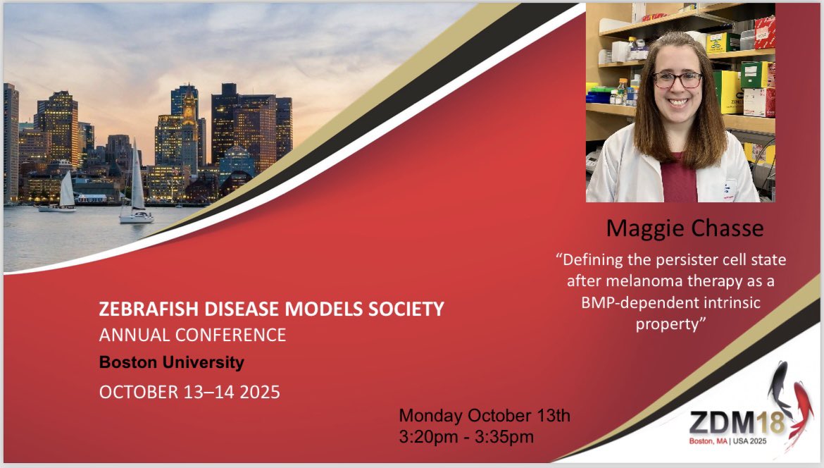 Chaunte Lewis, DVM tweet media