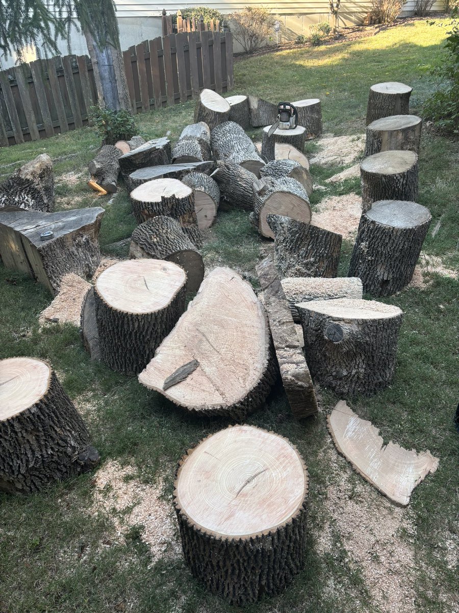 Even with a chainsaw this is kicking my ass 🥴