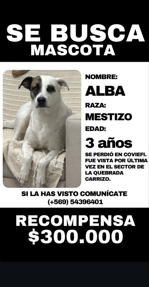 Ayna_Afta's tweet photo. #Antofagasta ayuda por favor 🙏🏼 https://t.co/DKeZddn851