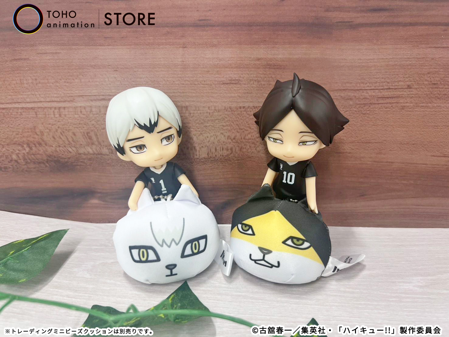 TOHO animation STORE ONLINE on X: 