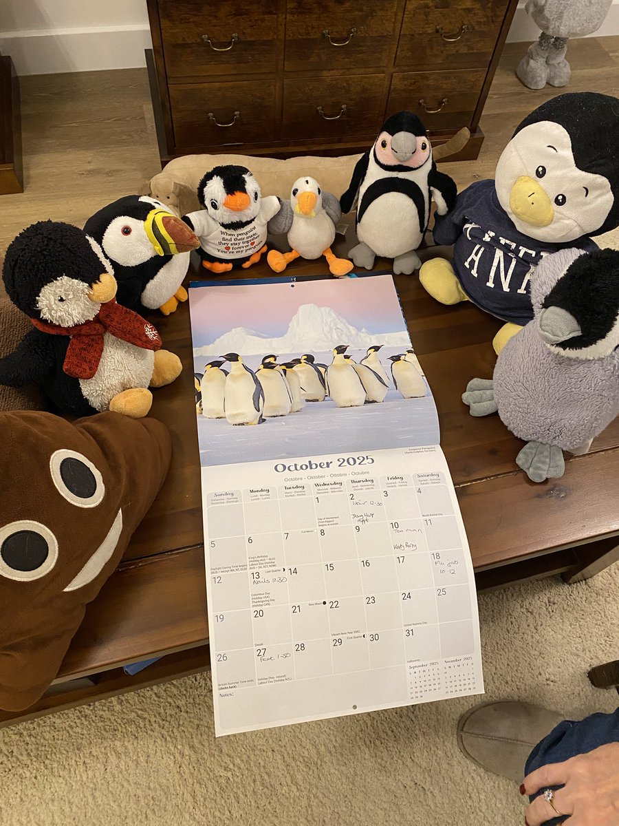 Perry the Penguin (@pdwalker70) on Twitter photo Weโre a bit late with the penguin calendar this month. But itโs family of emperors! Just like Prince. Sadly heโs already gone to the beddy byes so missed it #HappyOctober Weโre a bit late with the penguin calendar this month. But itโs family of emperors! Just like Prince. Sadly heโs already gone to the beddy byes so missed it #HappyOctober