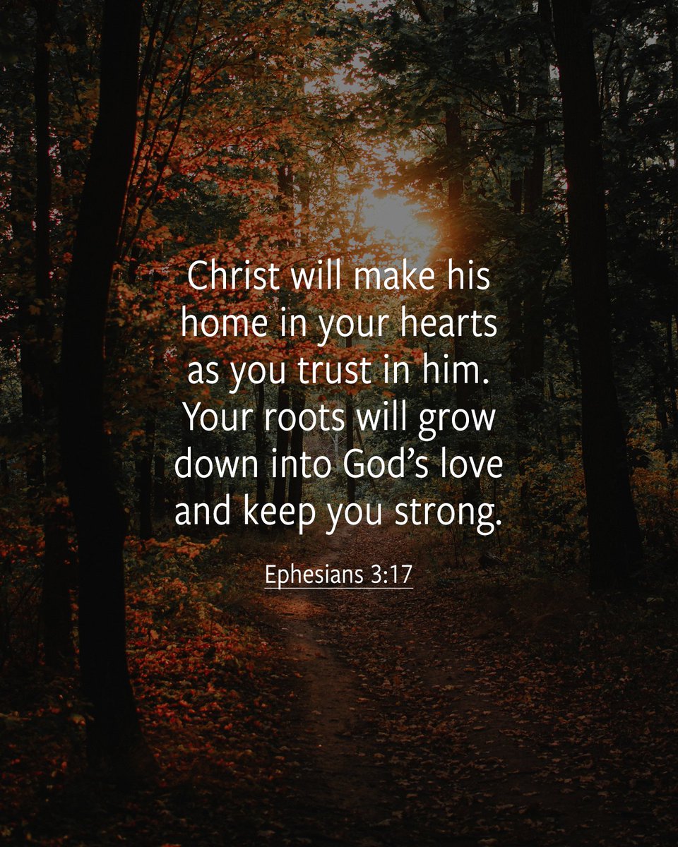 WarCryUSA's tweet image. God’s love is constant and unwavering. 🧡 peermag.org/articles/8-pow…
#Bible #BibleVerse #Scripture #ChristianInspiration