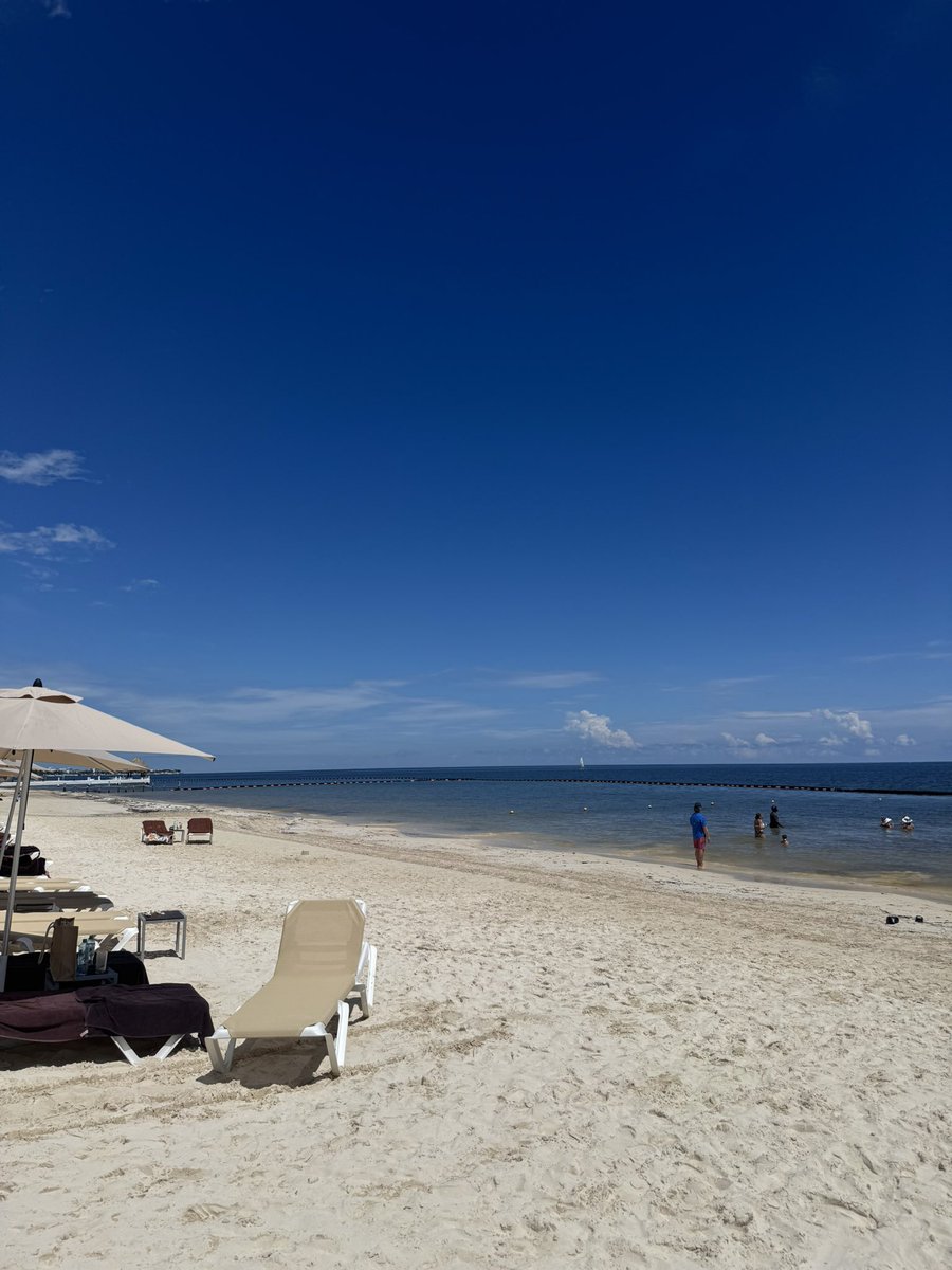 DanMacCon's tweet image. Esto es #puertomorelos