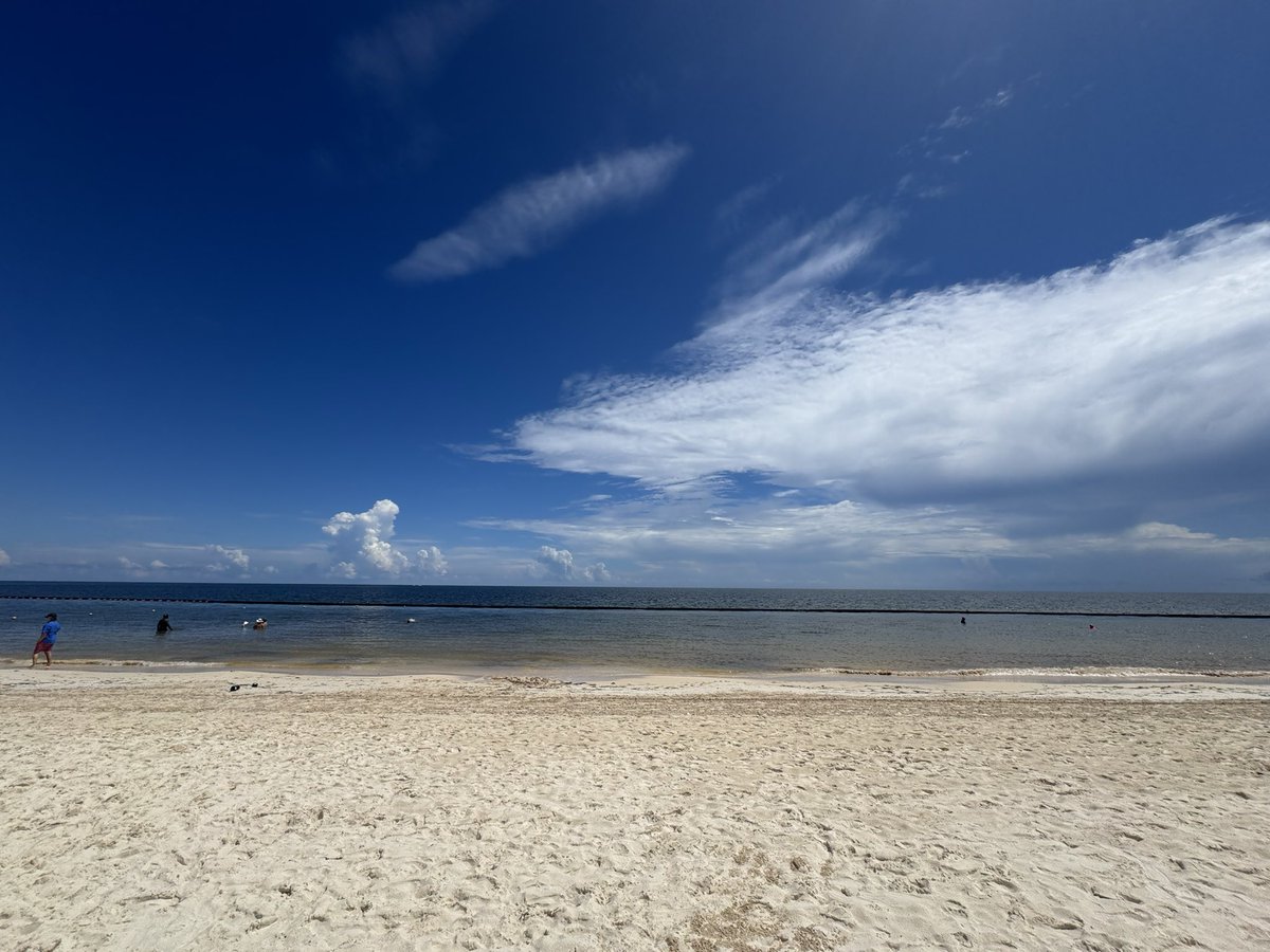 DanMacCon's tweet image. Esto es #puertomorelos