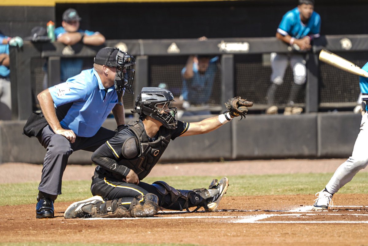 ๐๐จ๐ฅ๐๐๐ง ๐๐ข๐จ๐ง๐ฌ ๐๐๐ฌ๐๐๐๐ฅ๐ฅ โพ๏ธ tweet media