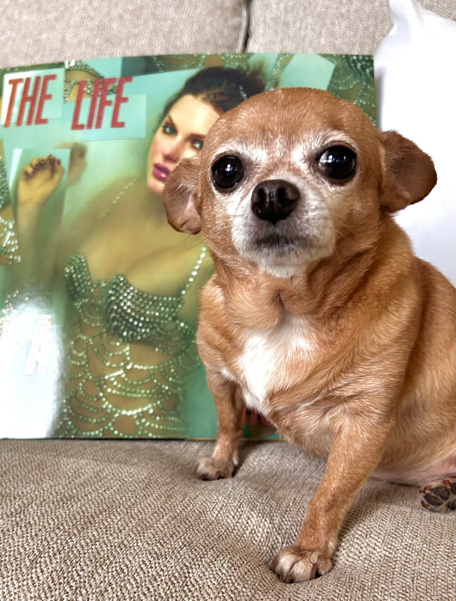 WynnWs's tweet image. Just saw Taylor Swift’s “The Release Party of a Show Girl” and it was pretty spectacular!  Roo is listening to the album! 
#TSTheLifeofaShowGirl