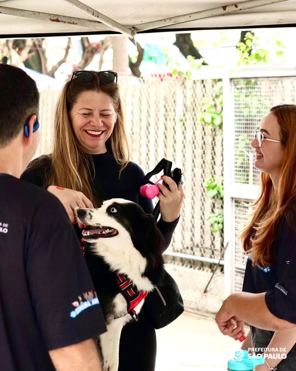 saudeprefsp's tweet image. Sem contar no ineditismo do ciclo de palestras promovido para estimular o debate e a troca experiências sobre vigilância em saúde e a promoção da saúde única.

Veja como foi o último dia de evento!

#SemanaAnimal #SaudePrefSP #DVZ #COSAP