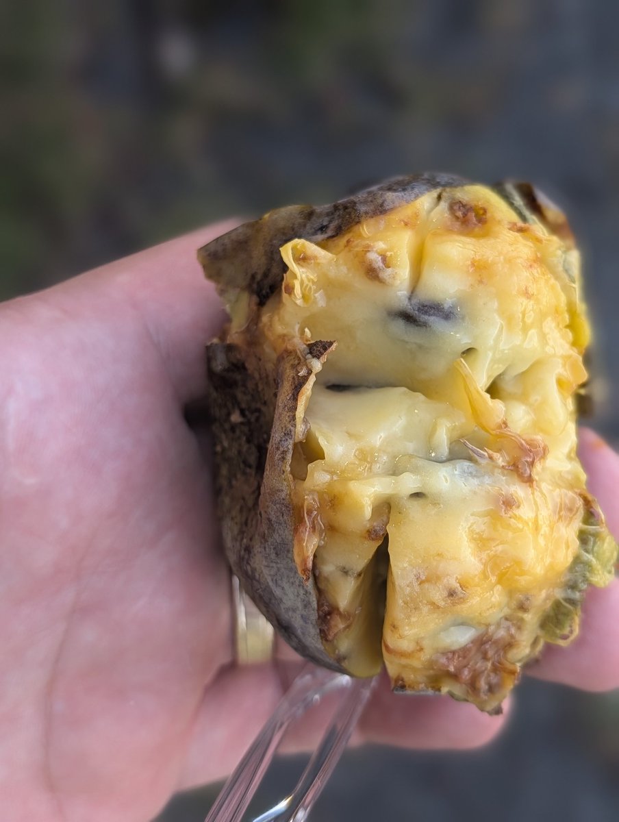 Reasonable Man 🇺🇸 tweet media