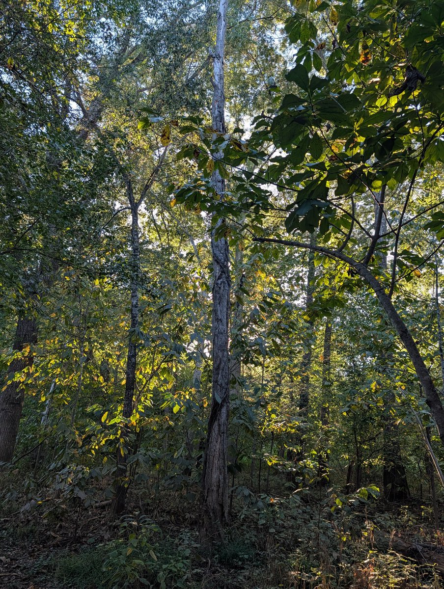 Reasonable Man 🇺🇸 tweet media