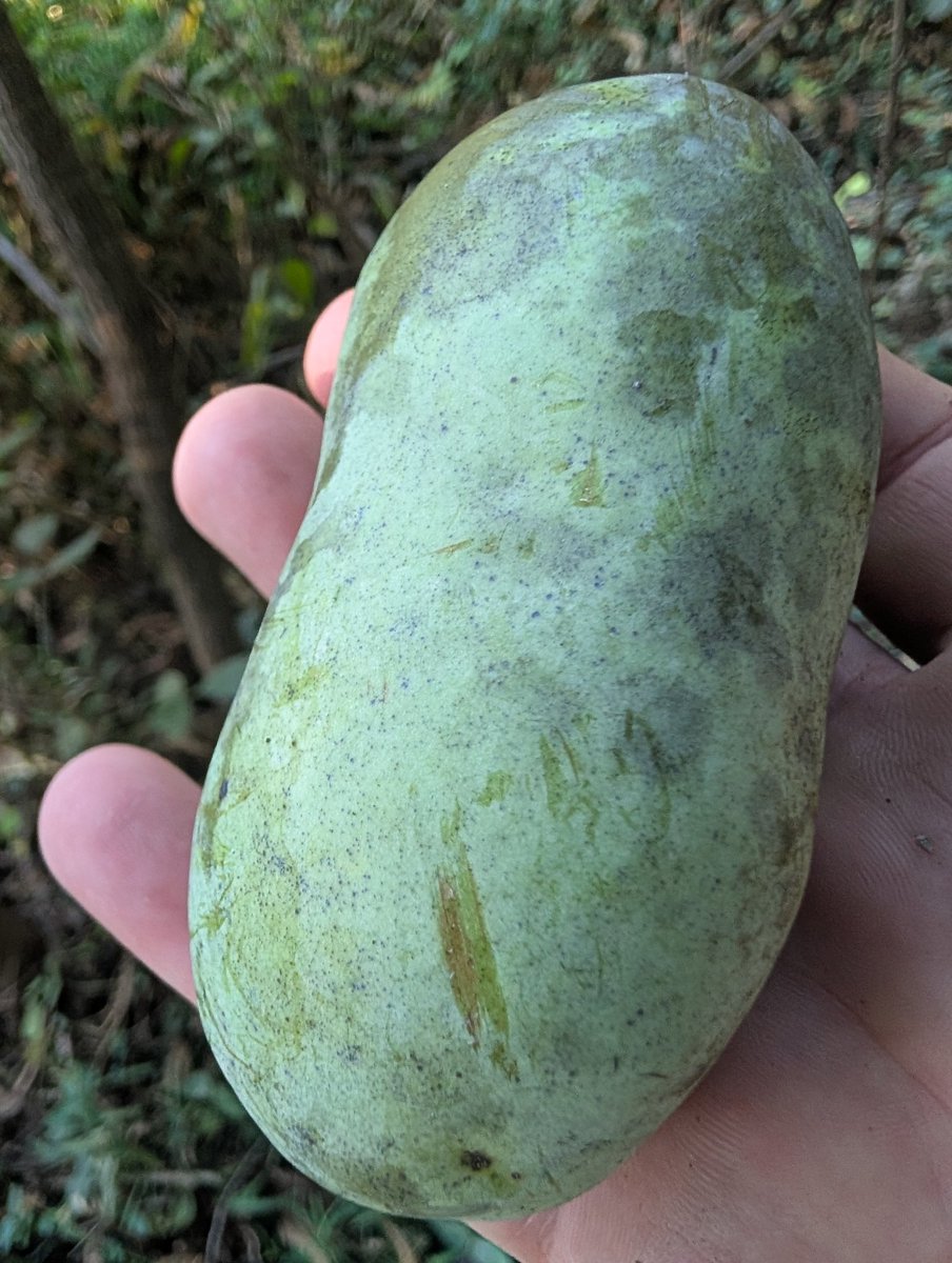 Reasonable Man 🇺🇸 tweet media