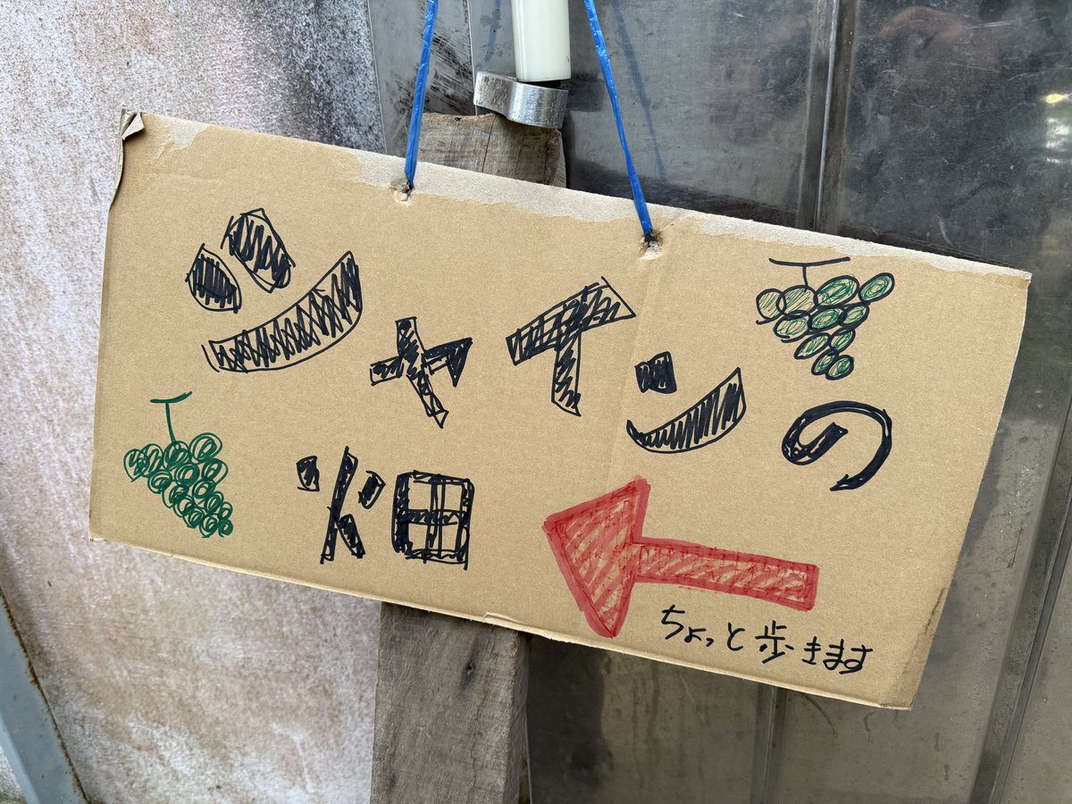 kusashio's tweet image. 10月6日（日）おはようございます。本日のシャインマスカット狩り会場の準備が終わりました(^^;;今日の勝沼は涼しいです。服装は、長袖、長ズボンがオススメです。現在、収穫祭を開催しています。秋のシャインマスカット狩りや食べ放題を思いっきり楽しんで下さい＼(^^)／本日の営業時間は9:00〜15:00…
