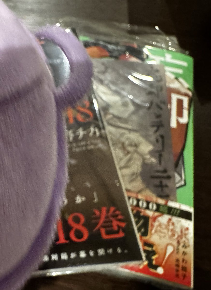 おはよっ！
学校行事に母と兄が泊まりでやって来て、お家拝見って、物を押し込んだり新刊発売も重なり、疲れた💦
メイトからの荷物も着たけど、購入した本もまだ未開封(T . T)
今日はゆっくりさせていただきます♪
ネスくんに邪魔されました💜