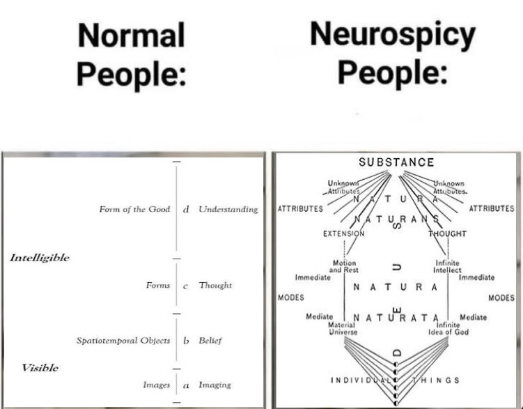 noetic_emetic's tweet image. 
