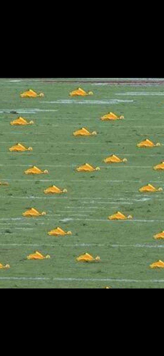 Live look at Cardinal Stadium.