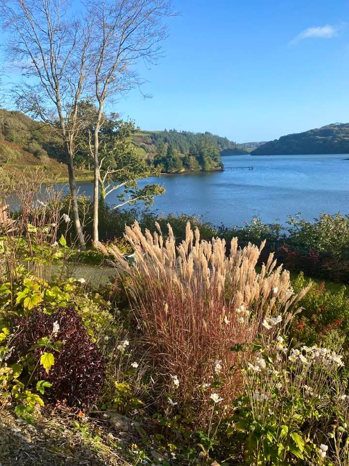 ThisIsIreland3's tweet image. 📍After the storm, how beautiful is Leap in West Cork this afternoon 🏞️ 😊☘️

📸 Sarann Browne

#Leap #Cork #Ireland #WestCork #Calmafterthestorm