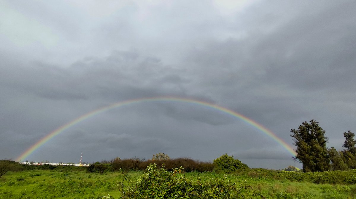 #Arcoiris en Teno, sigue lloviendo intermitente y con frío.
<a href="/Sepulinares/">Alejandro Sepúlveda Jara</a> <a href="/meteoredcl/">Meteored Chile</a>  <a href="/nimbusmeteorol/">Nimbus Meteorología</a> <a href="/DomiValenzuelaI/">Domi Valenzuela</a>