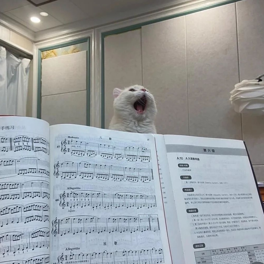 Catsillyness's tweet photo. "And iiiiiiiiiiiiiiiiiiiiiii" https://t.co/UuWEndcQif