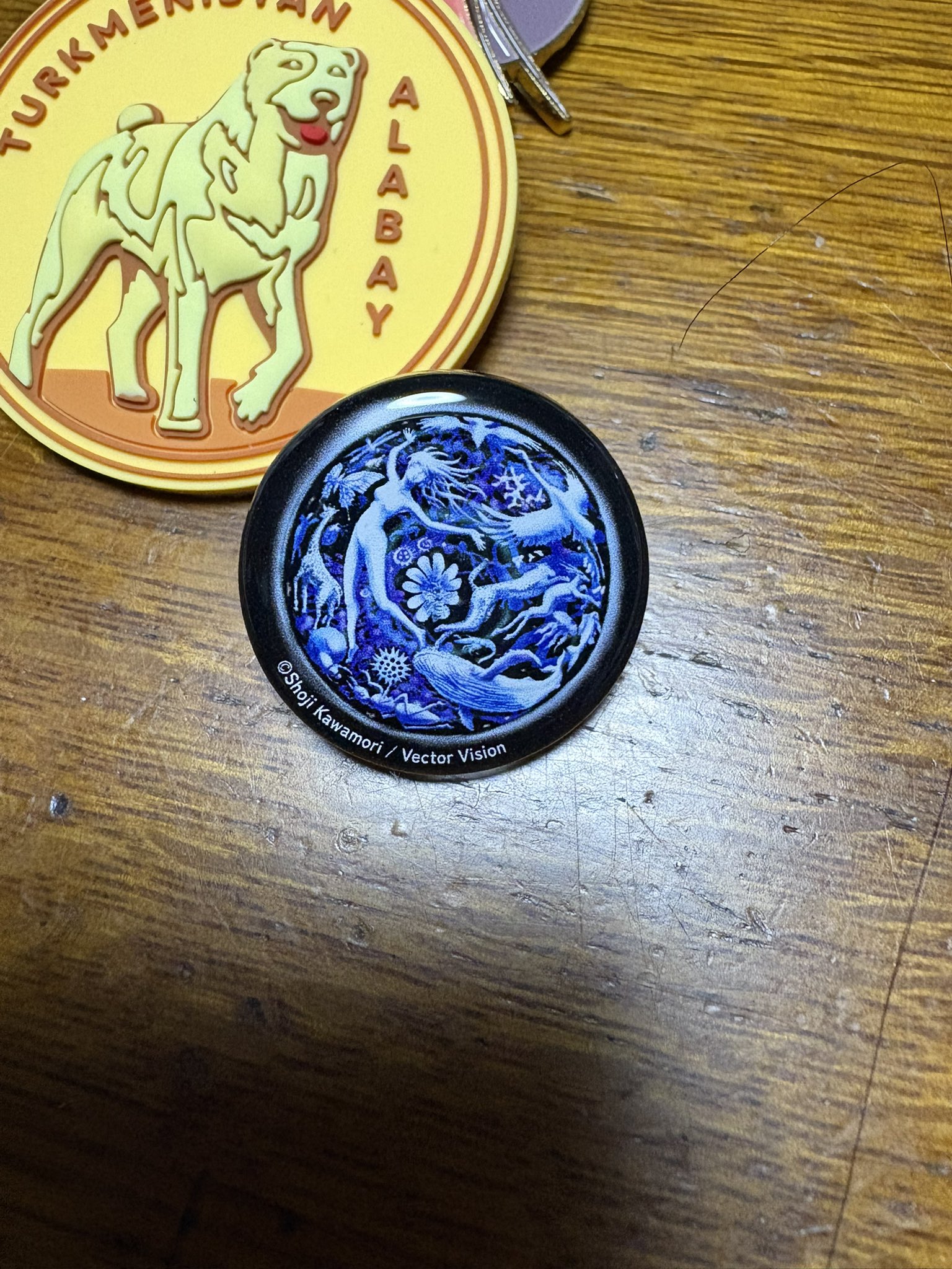 たつや　いのちめぐる冒険　ピンバッジ たつや様専用 いのちめぐる冒険 ピンバッジ - メルカリ